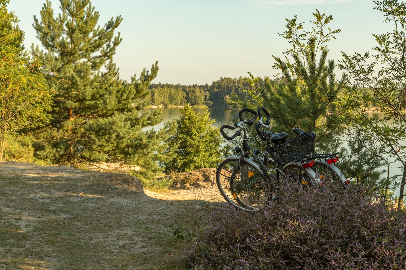 Zeischaer Kiessee 73